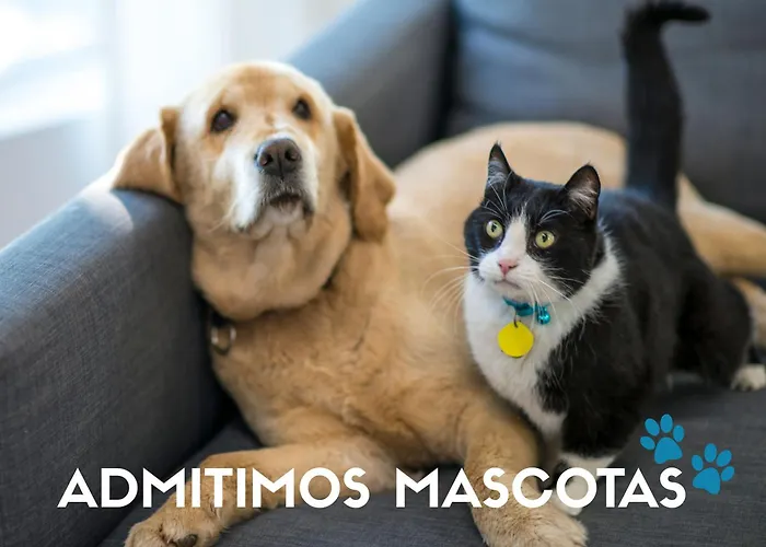 Confort 3000 Lägenhet